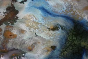 fango cuenco oceanos