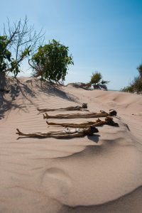 fango tumbadas al sol