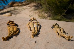 fango tumbadas al sol