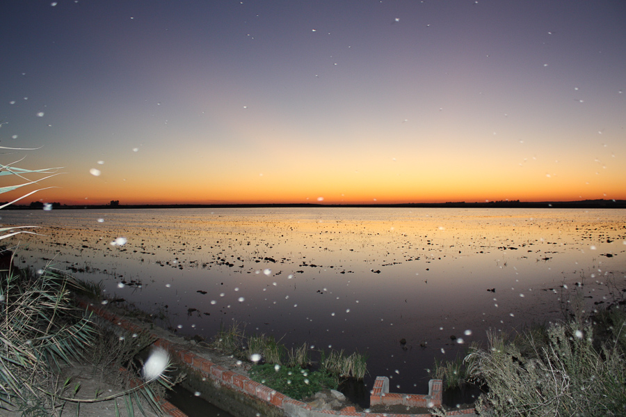 Inspiración (Naturaleza)