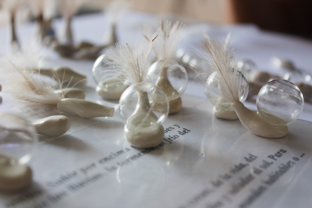 Importancia de la comunicación (membrácidos)