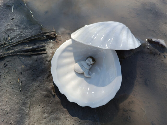 La niña que vivía en un conchita de la playa