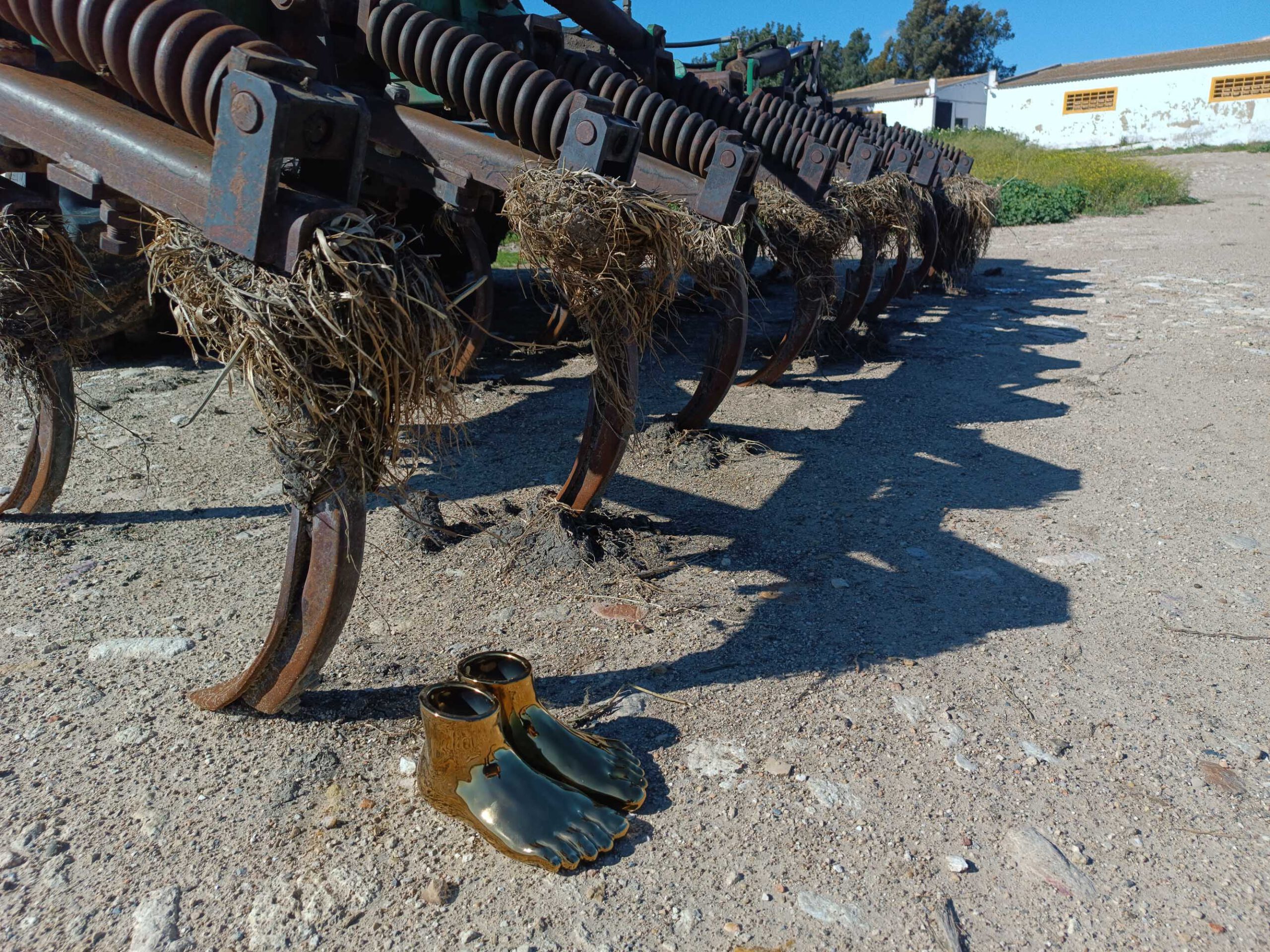 Hacia dónde caminamos