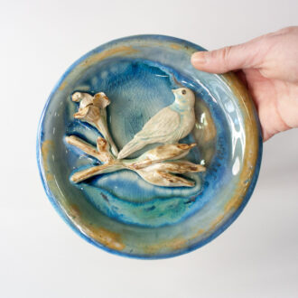 Plato pájaro y niño